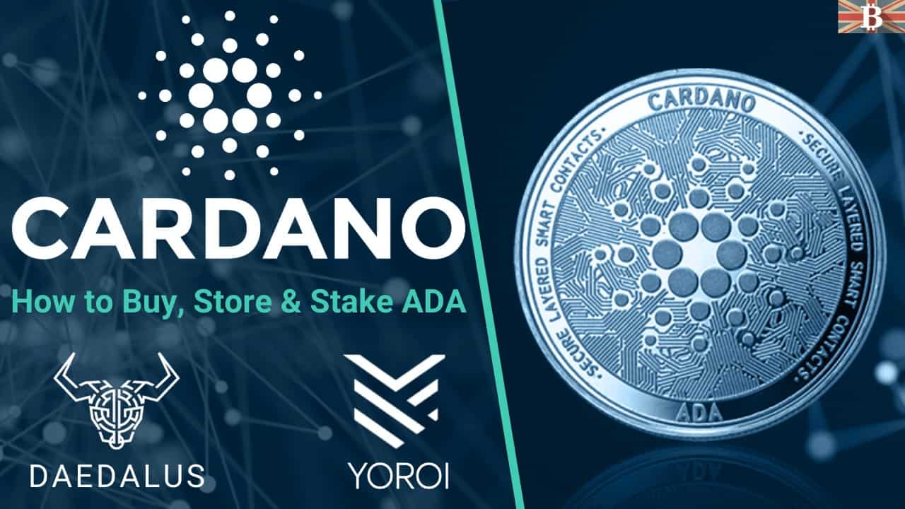 What Is Cardano How To Buy Store Stake Ada Tokens