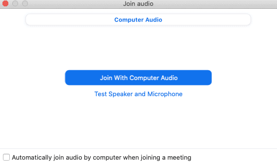 Zoom Audio webinars