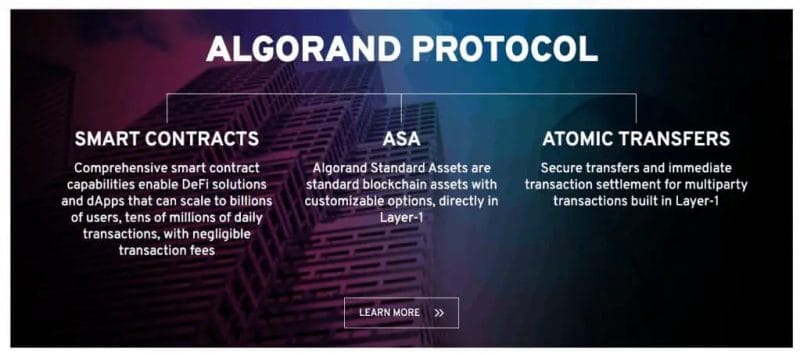 What is the Algorand Protocol
