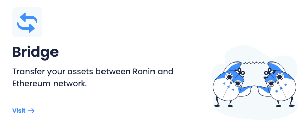 Cách kết nối mạng Ronin