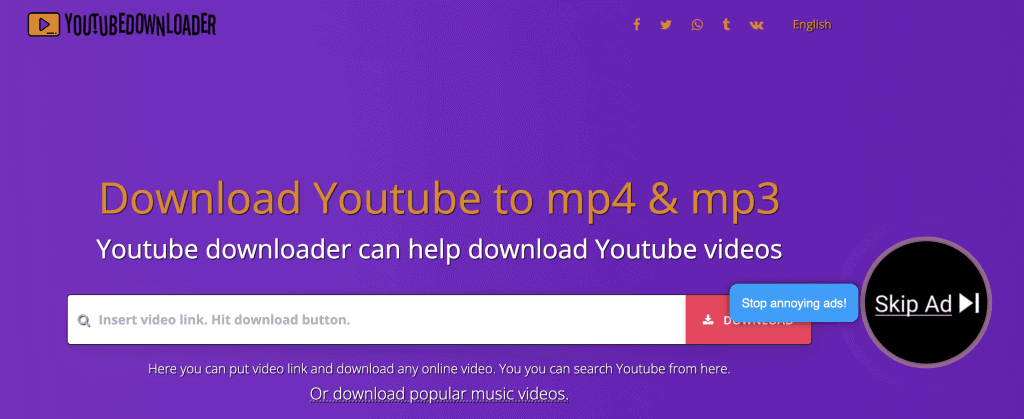 How to Download YouTube video with YouTube Downloader