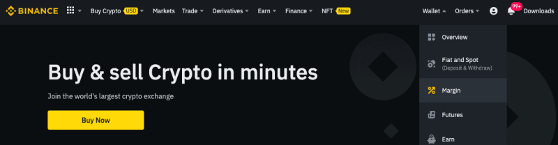 Log into Binance Margin