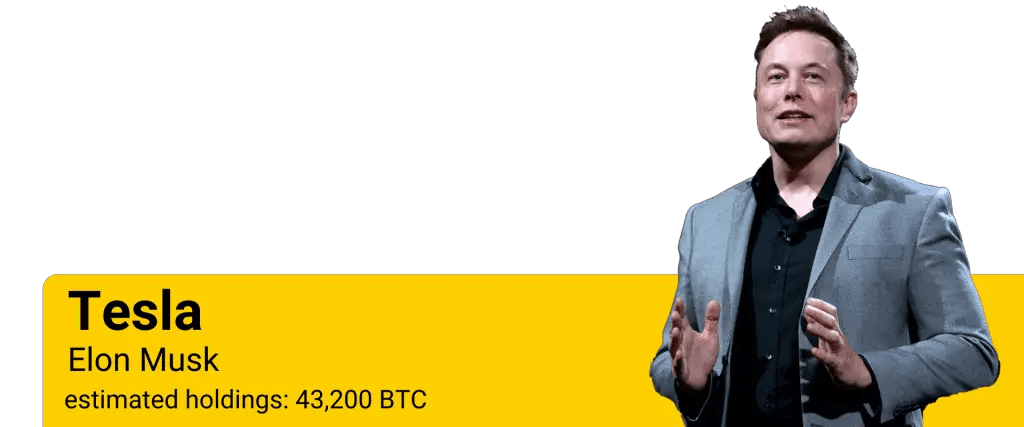 How many Bitcoins does Elon Musk Own?