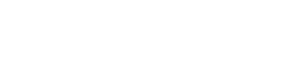 Ledger Nano S Wallet